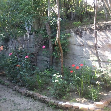 Guesthouse Malkhazi Боржоми Екстериор снимка