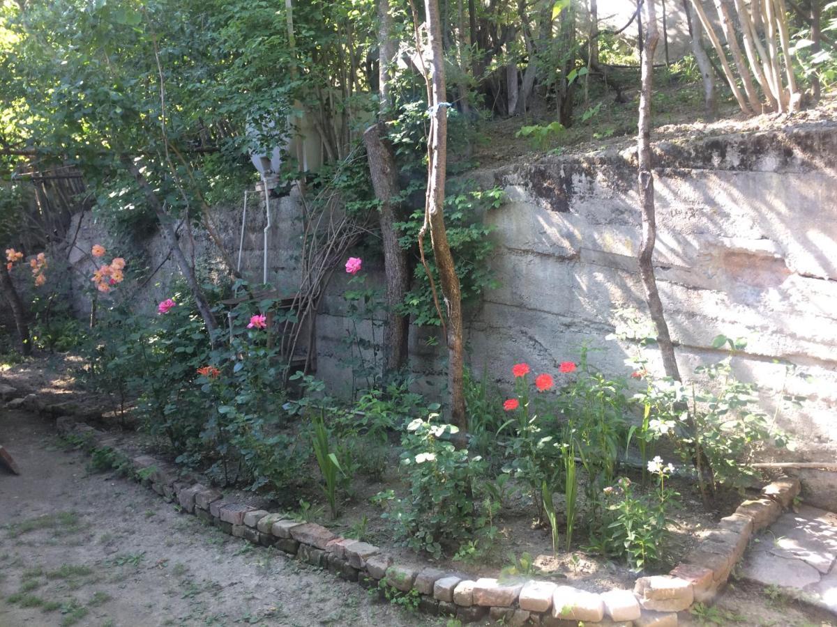 Guesthouse Malkhazi Боржоми Екстериор снимка