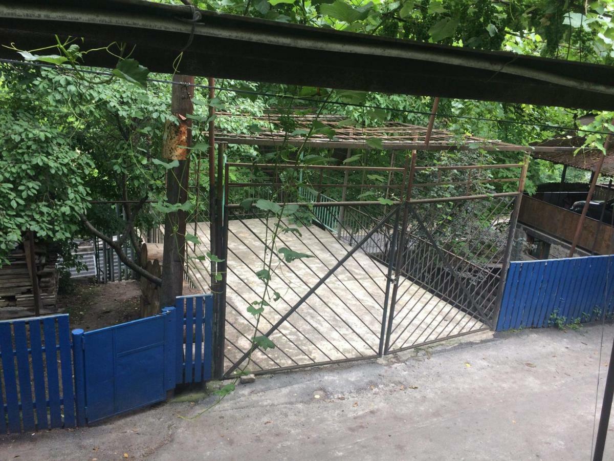 Guesthouse Malkhazi Боржоми Екстериор снимка